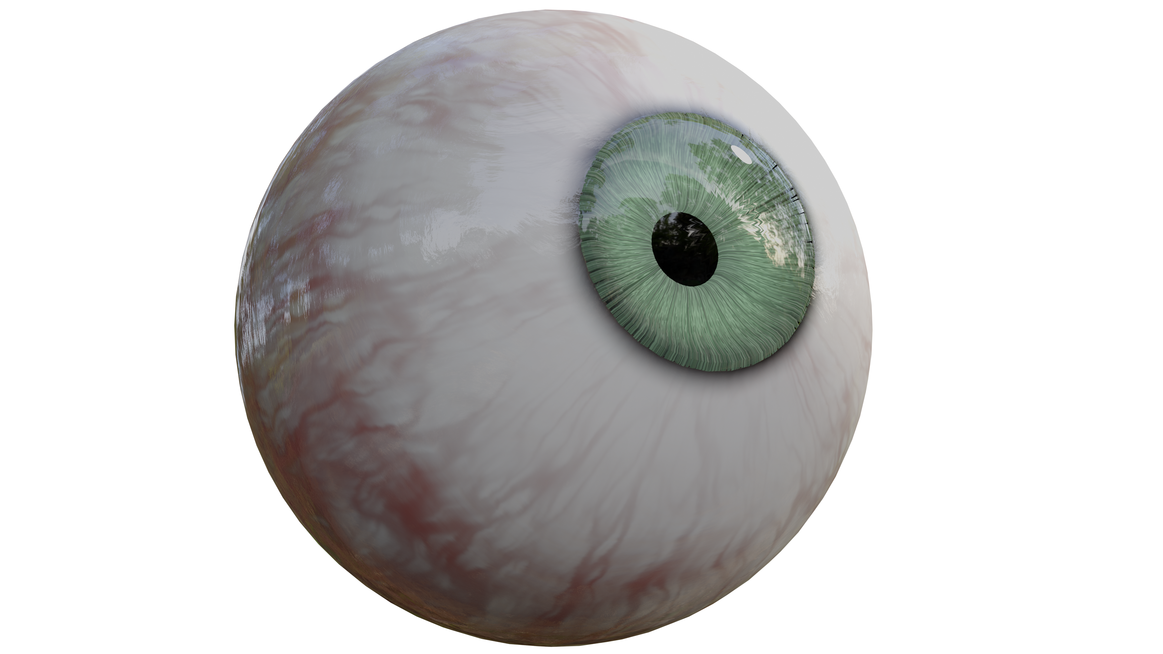 3D rendering of an eye ball